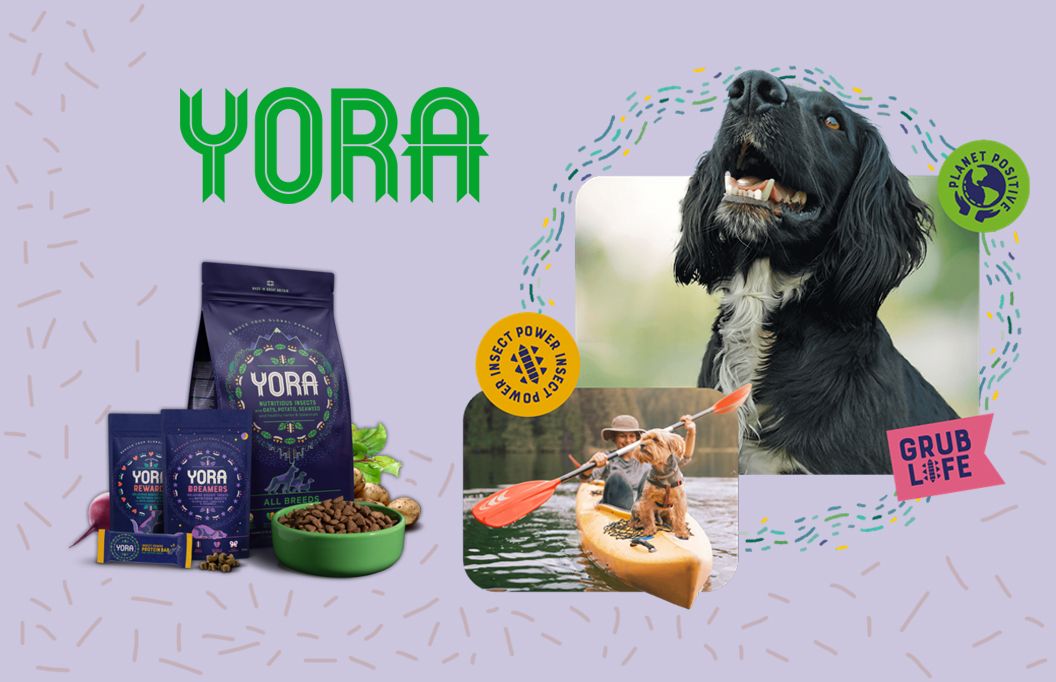 0 02 05 83745Fd57Dc5F3F8B5F67Eba8243C45F042Bbe423Fe7D4Ce89B2Fa3807108A32 B95B3A8724Bd566D