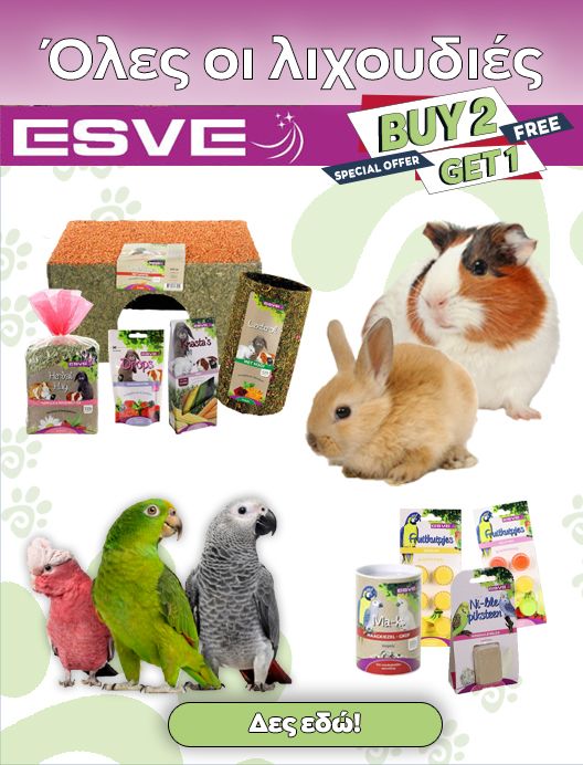 0-02-05-8C657583633453D56Ea793B22Cc39D1A21F36Fd0E79C83Ba1F247362E0De5C5E_E97464B0459446E0