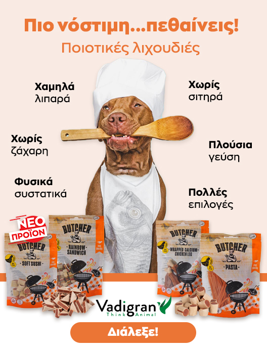 0-02-05-9D7F7Bb0C5871F0Aaaea62E699F56D5Faf43A57562B7E01A2647Cbad8E6612Fe_931B72A0Ea449A9