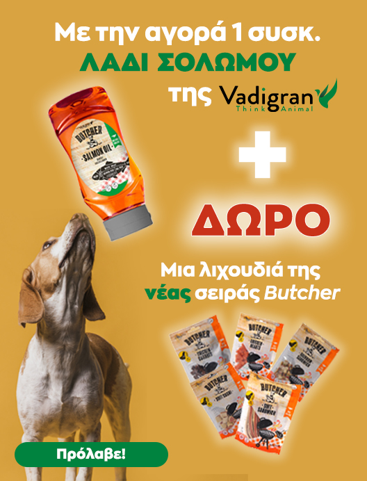 0-02-05-A58E10F6A0Ad595E09Aa7406542E19F96D42C799C1Ec84E023Bd9A7391F5Fa03_Fedc882648C36B34