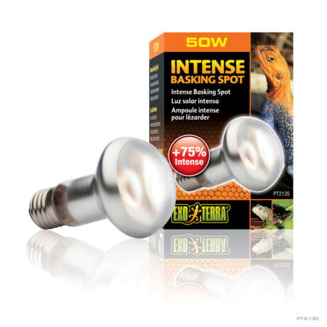 Exo Terra Intense Basking Spot Λάμπα Ημέρας 50w
