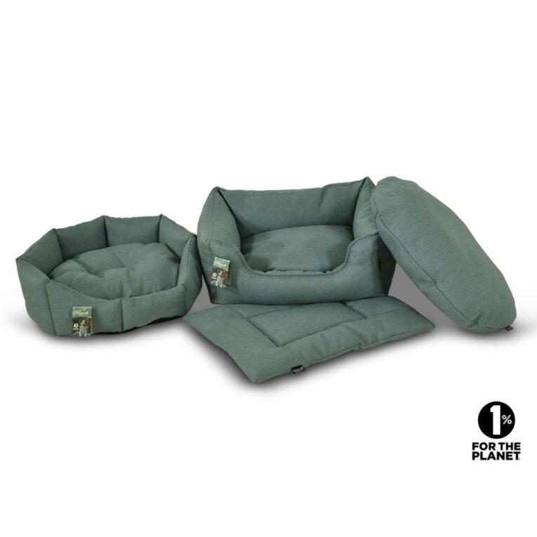 07581a2a-2617-11f0-a045-00505697ce7a_5411468223262.MF1