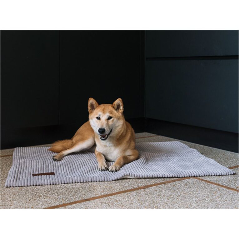 0a8fd104-443a-11ed-bf08-00505697ce7a_5411468184273.sfr1