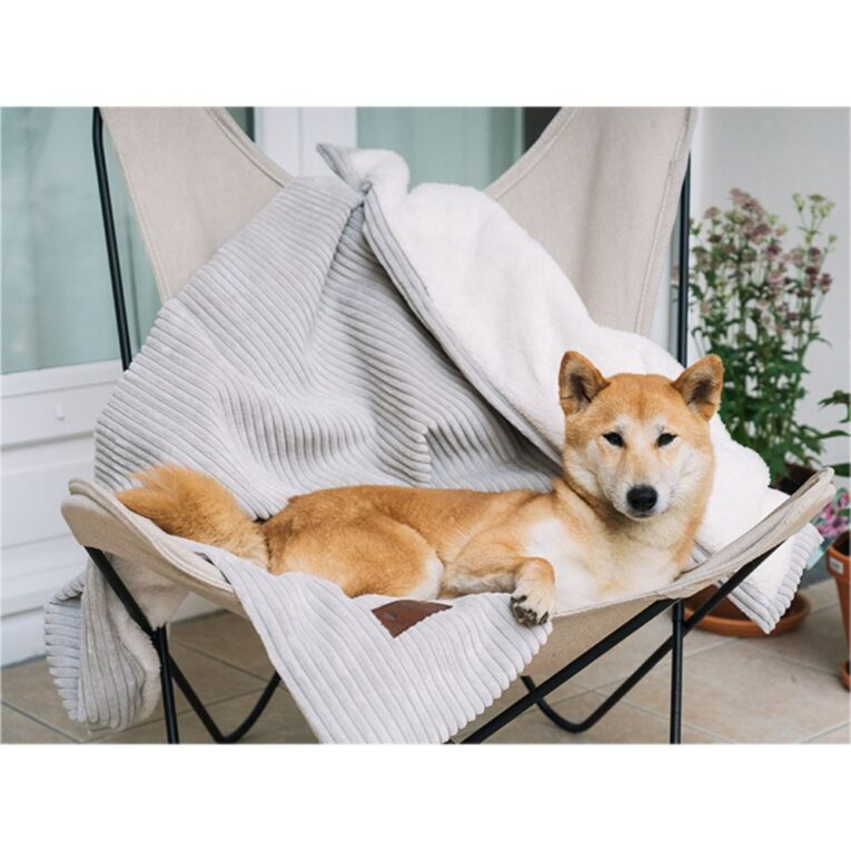 0a9f2a78-443a-11ed-b023-00505697ce7a_5411468184273.sfr3