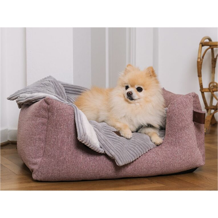 0b22e606-443a-11ed-b93d-00505697ce7a_5411468184242.sfr1