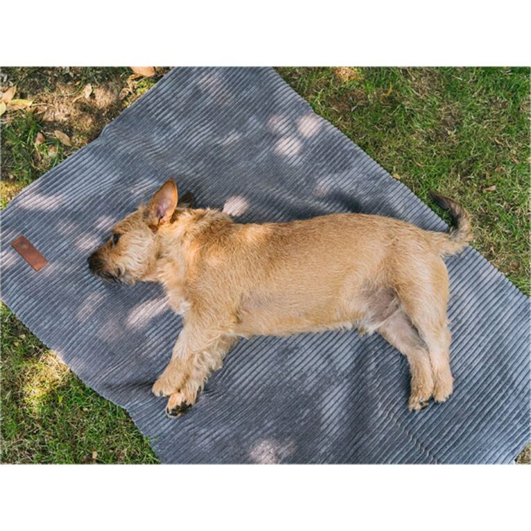 0b45665e-443a-11ed-8673-00505697ce7a_5411468184280.sfr1