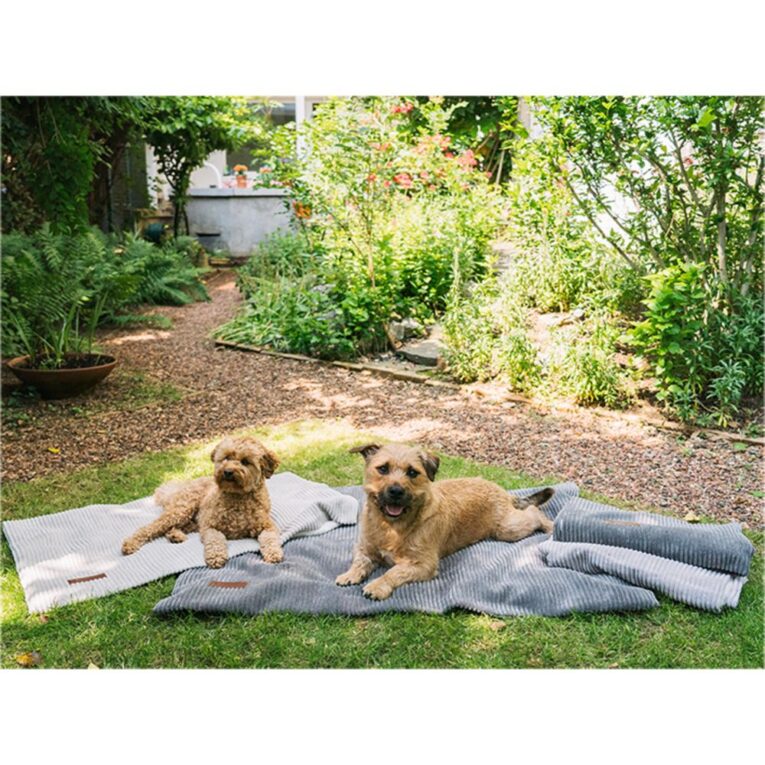 0b86db16-443a-11ed-b5ff-00505697ce7a_5411468184235.mf1