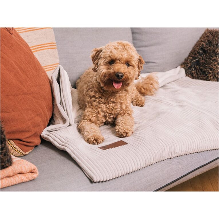 0b8bb096-443a-11ed-a49e-00505697ce7a_5411468184235.sfr1