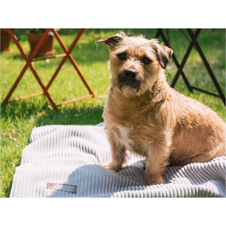 0b95494e-443a-11ed-a540-00505697ce7a_5411468184235.sfr4