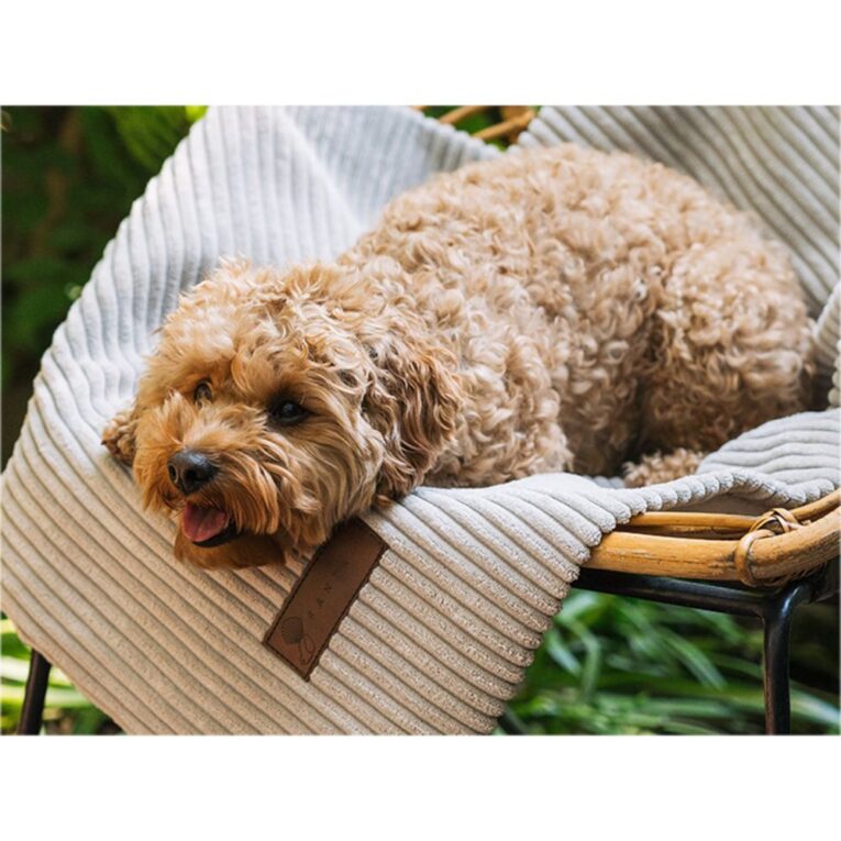 0b9a7f40-443a-11ed-bbd4-00505697ce7a_5411468184235.sfr5