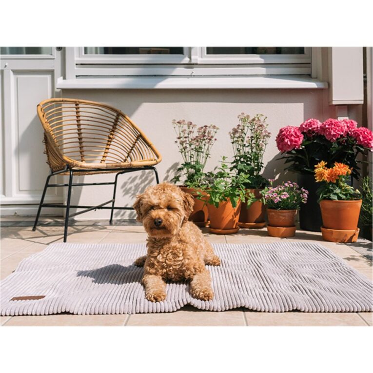 0bbec2ce-443a-11ed-8c86-00505697ce7a_5411468184266.sfr1