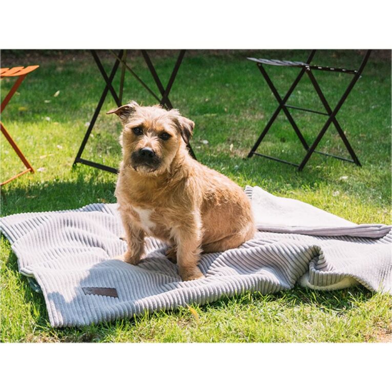 0bc3972c-443a-11ed-a893-00505697ce7a_5411468184266.sfr2