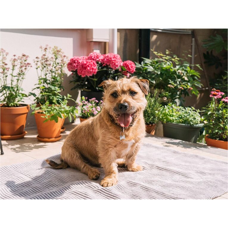 0bc87008-443a-11ed-b36d-00505697ce7a_5411468184266.sfr3