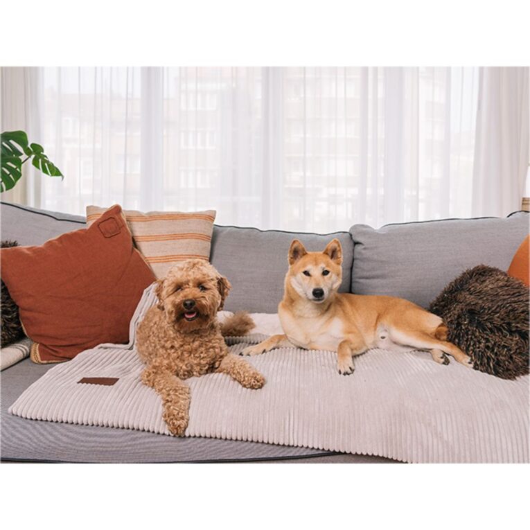 0bd25a8c-443a-11ed-afd4-00505697ce7a_5411468184266.sfr5