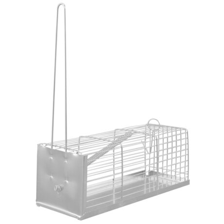 Domus Molinari Galleria Ποντικοπαγίδα 24x9x9cm