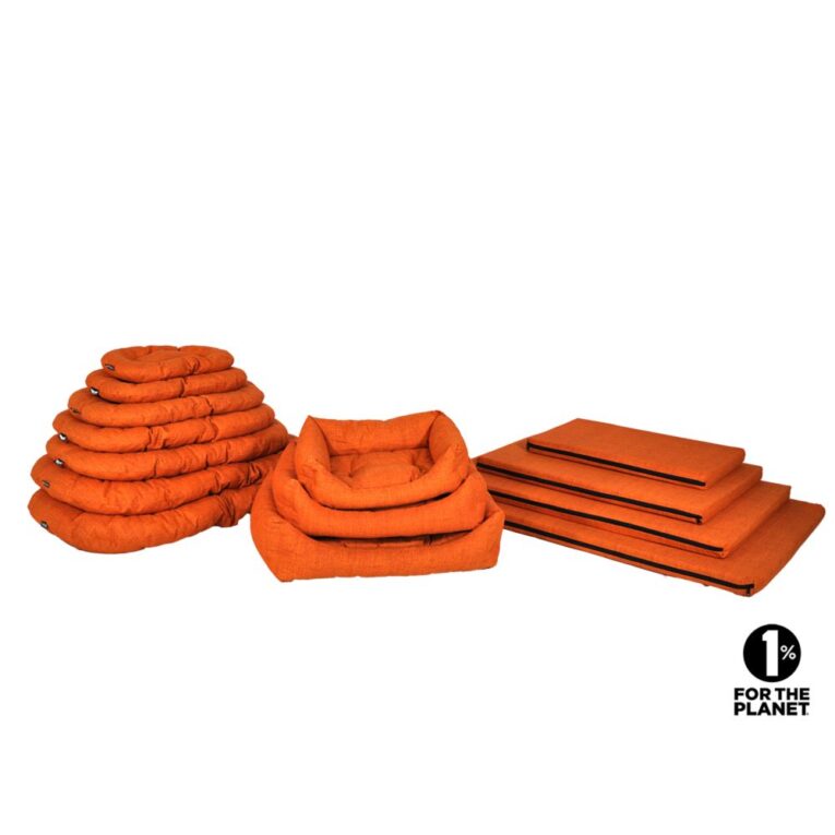 3b11e9ea-22c6-11ef-a8a6-00505697ce7a_5411468200324.MF1