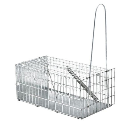 Domus Molinari Galleria Ποντικοπαγίδα 30x14.5x13cm