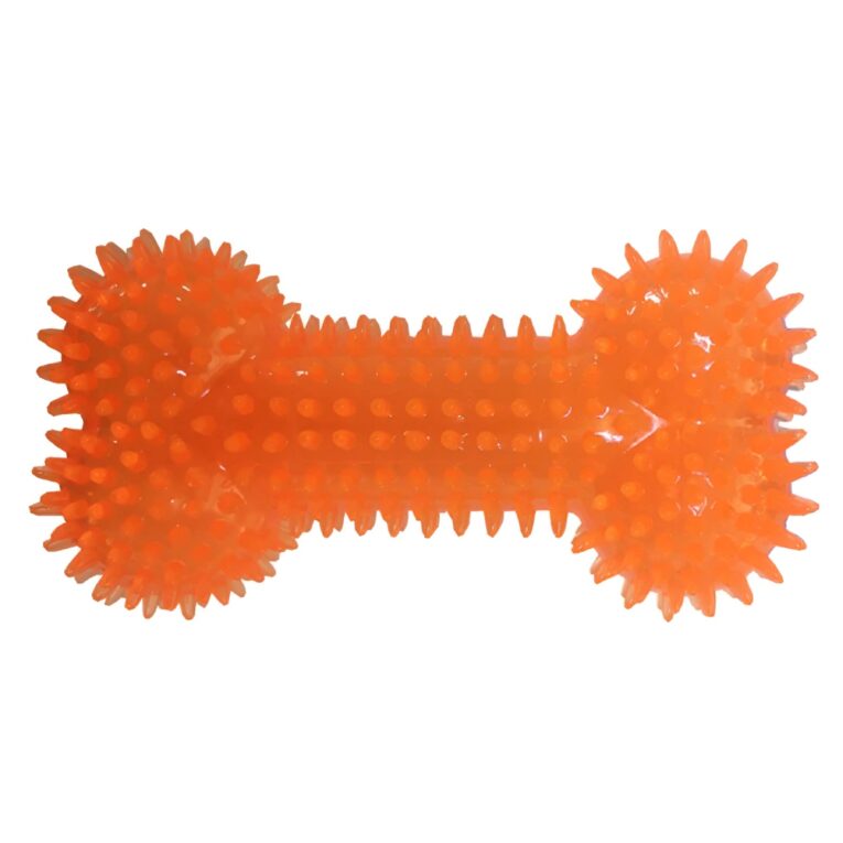 41246-800x800w_webp-min