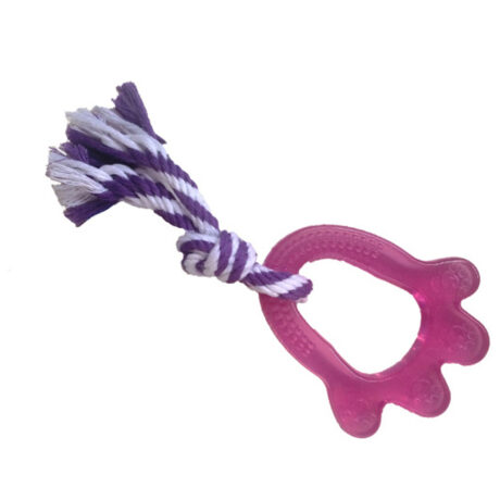 Pet Interest Παιχνίδι Paw Fun Rugs