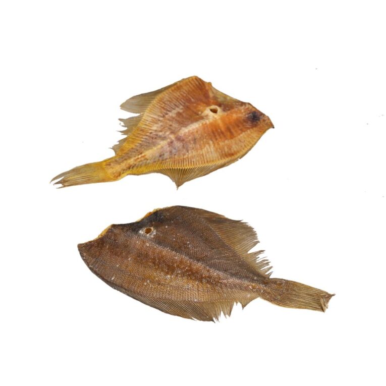 4dcf02c8-f39d-11ee-9433-00505697ce7a_5411468199659