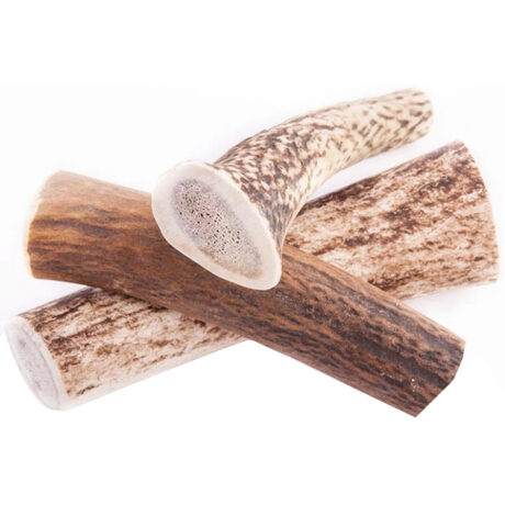 Wildz Κέρατο Ελαφιού Hard XXL 20cm 160gr