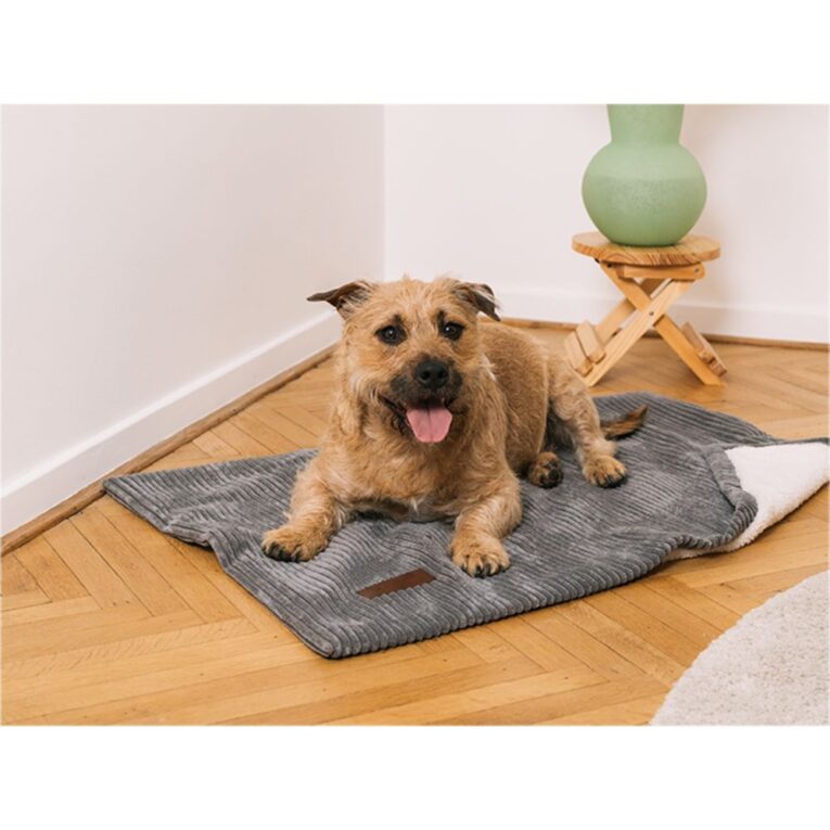 66f0e640-f737-11ec-9052-00505697ce7a_5411468184259.sfr2