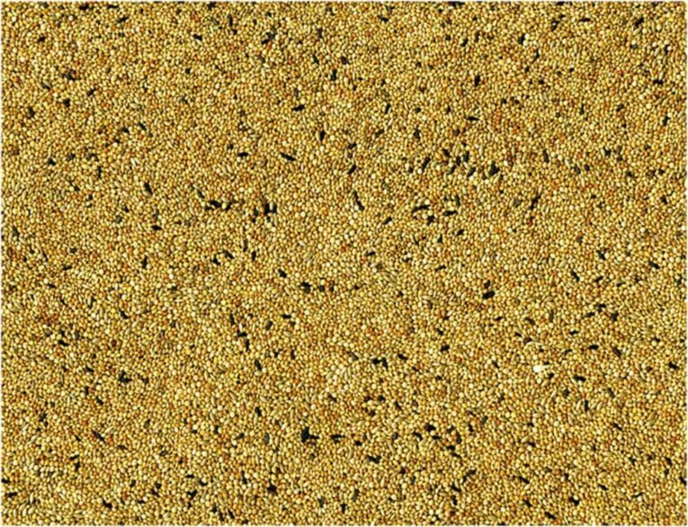 9c61b4e8-7404-11ea-b911-00505697ce7a_5411468234251.DET1-min