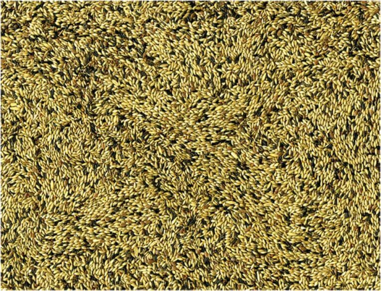 9d227854-7404-11ea-afe8-00505697ce7a_5411468234060.DET1-min