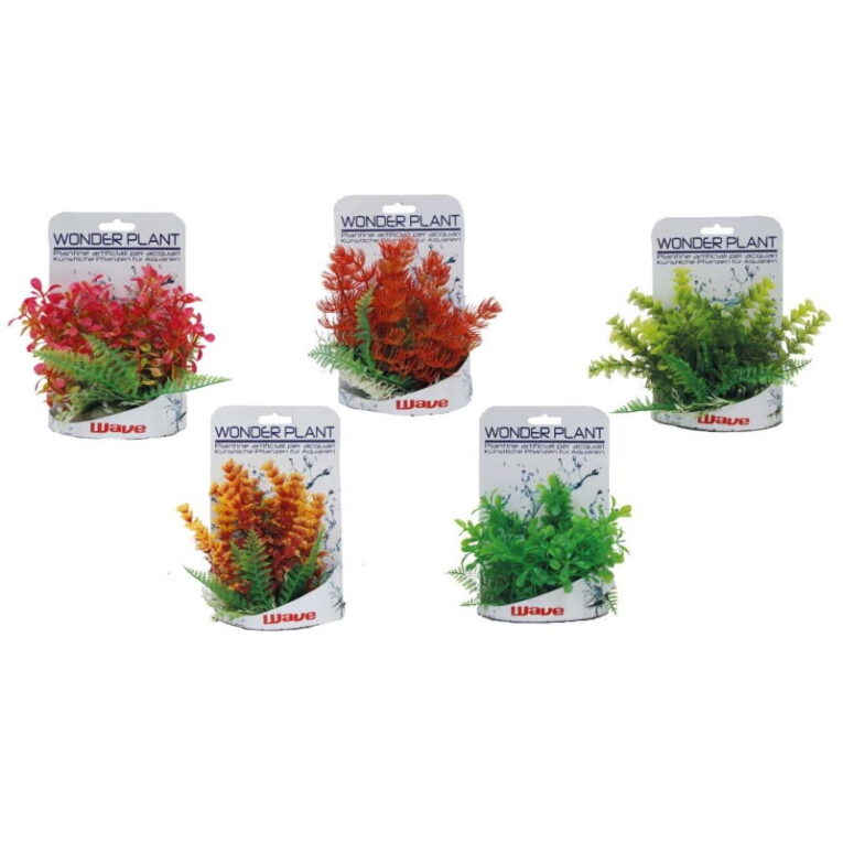 CCCPRODUCTIMAGES-1110