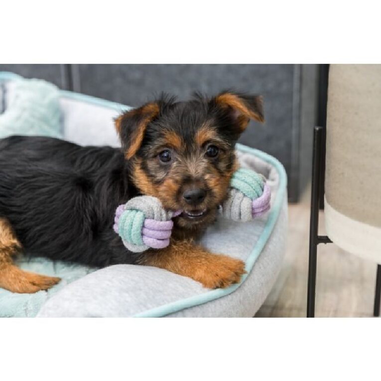 Junior Rope Dumbbell2