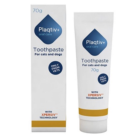 Plaqtiv+ Toothpaste 70gr
