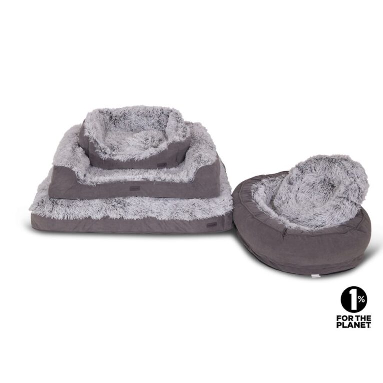 a9dd5bca-ac55-11ef-abf6-00505697ce7a_5411468199376.MF2