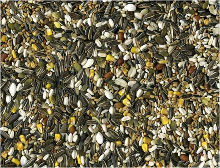 ae4f205a-7404-11ea-ac72-00505697ce7a_5411468234541.DET1-min