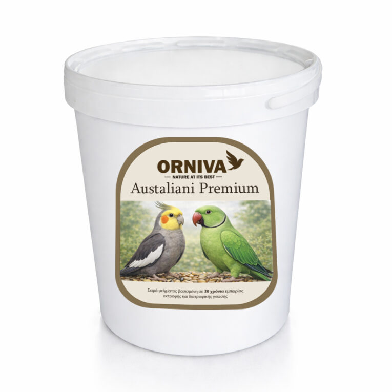 0-02-05-03a37e428ca89b83167e6cc2266961c168a9b0ca08f09b4e91f85ce0032f5782_65429863610c51f6