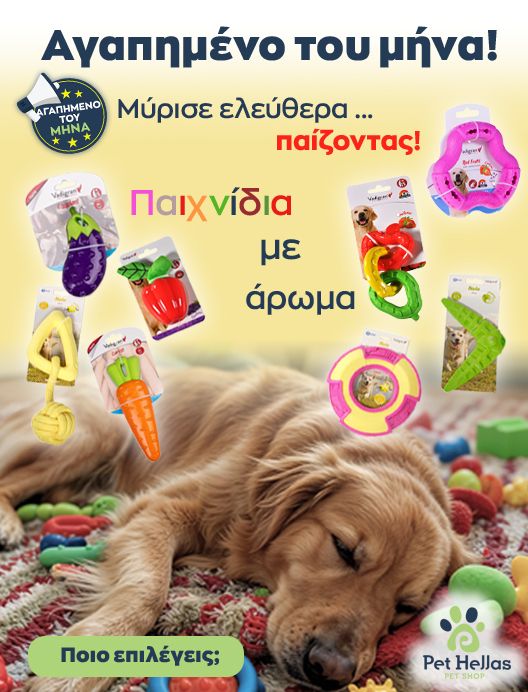 0-02-05-Ac978D586F05B1A3286F21Da5626414443Cf34176C790Ab3B7A8D14E8C269120_E65943D853Aad191