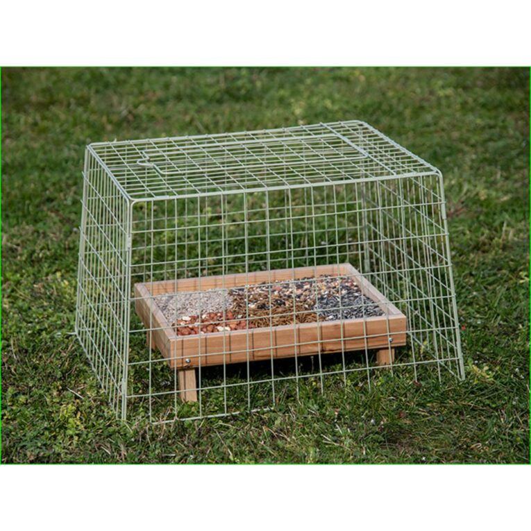 0aa9bc16-420b-11ee-9f6f-00505697ce7a_5411468193121.SFR3