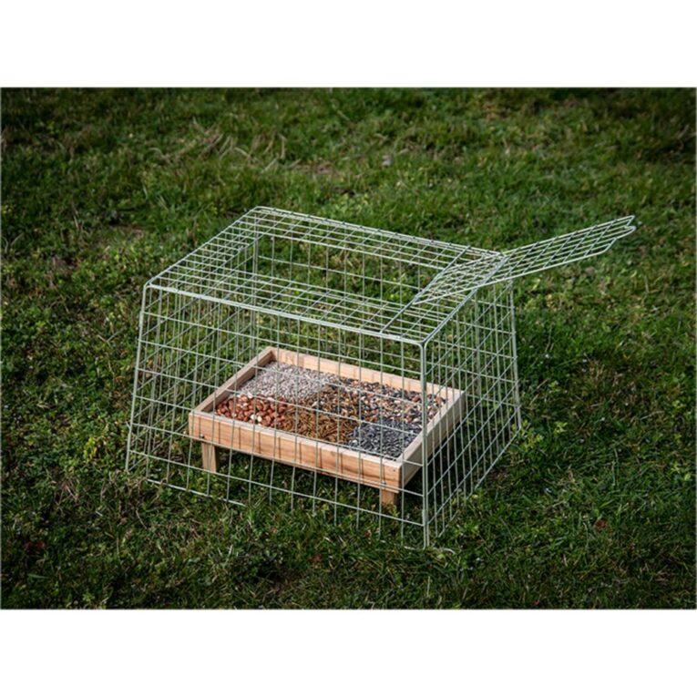 0aad8e0e-420b-11ee-a4f4-00505697ce7a_5411468193121.SFR6