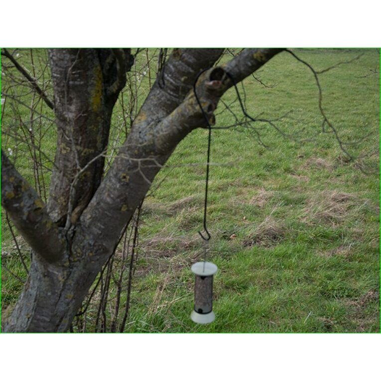 0b483512-420b-11ee-8002-00505697ce7a_5411468193152.SFR5