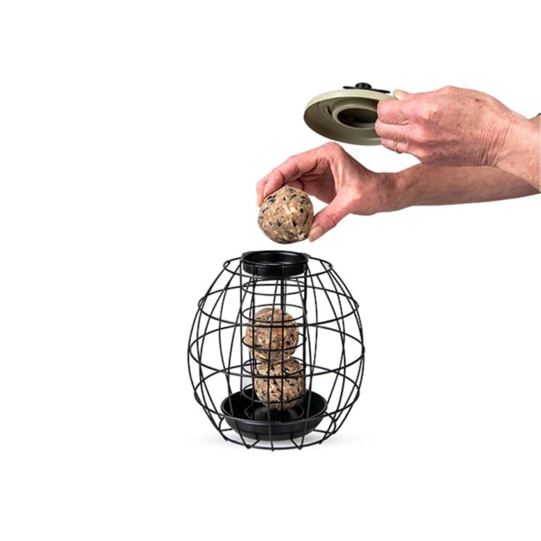 11665280-420b-11ee-b0c2-00505697ce7a_5411468192940.TEC1