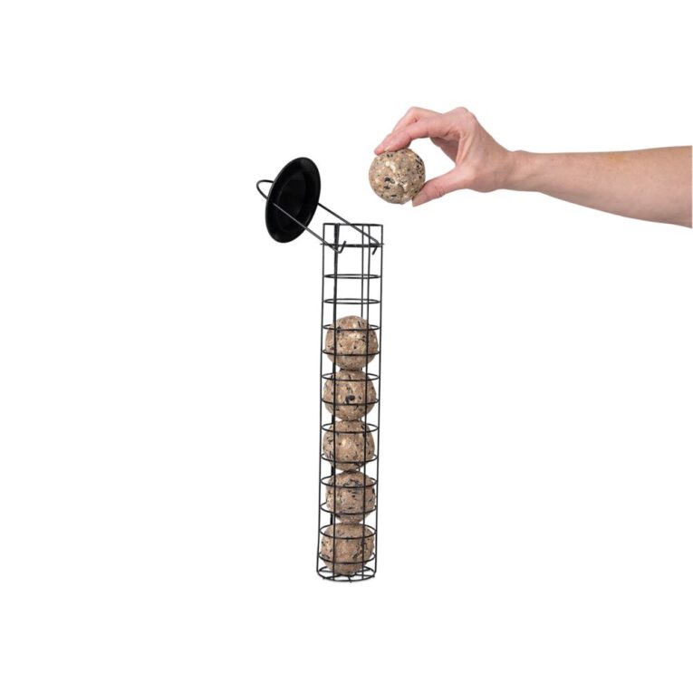 11bb837c-420b-11ee-9637-00505697ce7a_5411468192919.TEC2