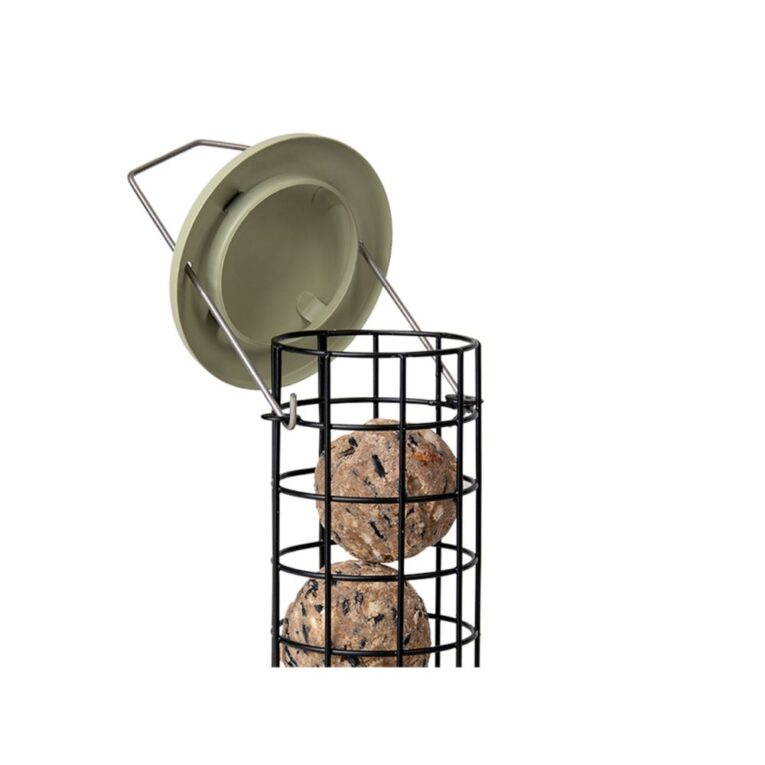 1348b07a-420b-11ee-b5bc-00505697ce7a_5411468192872.TEC1