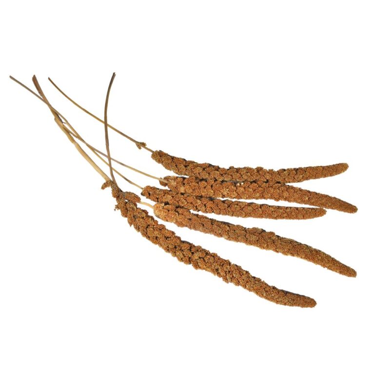 1fabd8cc-73fd-11ea-9cbe-00505697ce7a_5411468136029.1