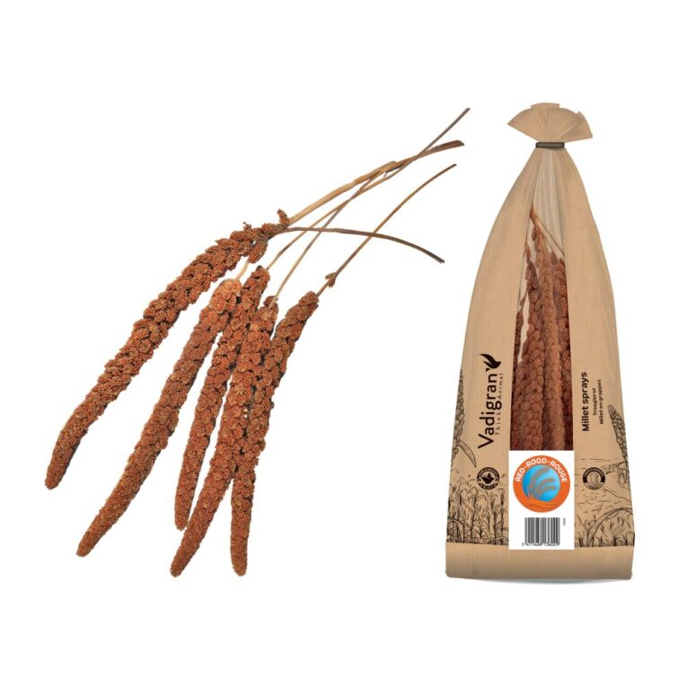 1fb2675a-73fd-11ea-943f-00505697ce7a_5411468136029.2