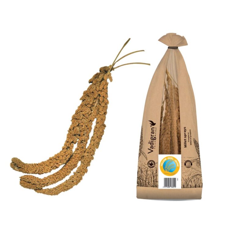 20714fbc-73fd-11ea-bfd8-00505697ce7a_5411468136012.2