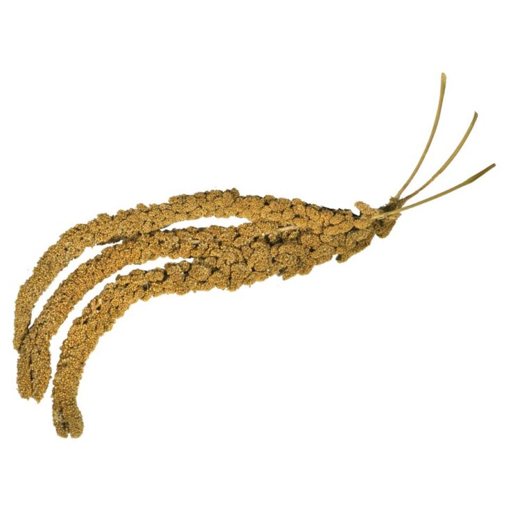 213935ae-73fd-11ea-94ee-00505697ce7a_5411468136050.1