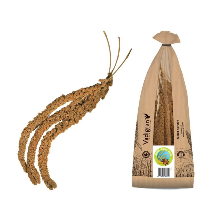 213afb32-73fd-11ea-8f9b-00505697ce7a_5411468136050.2