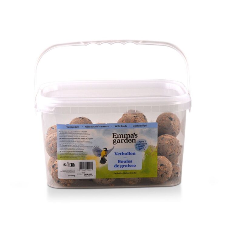 2cb73d38-420b-11ee-abd3-00505697ce7a_5411468192261.1