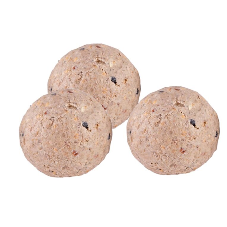 2cf87afa-420b-11ee-a037-00505697ce7a_5411468192254