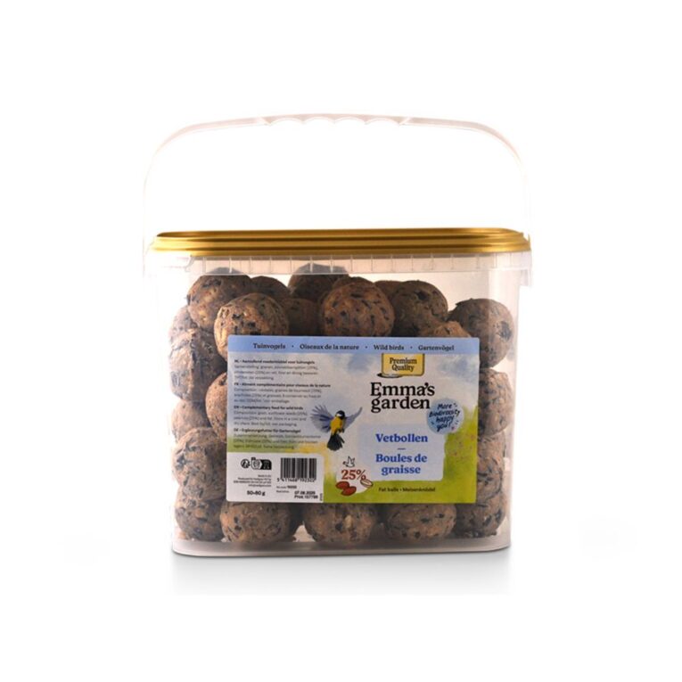 309ed292-42d5-11ee-9a8e-00505697ce7a_5411468192322.1