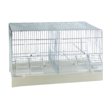 Domus Molinari Κλουβί Ζευγαρώστρα Ωδικών Πτηνών 55x27x35cm